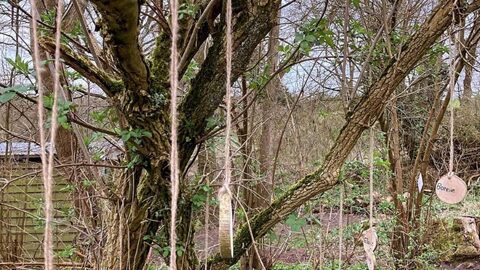 Blindfold string trail