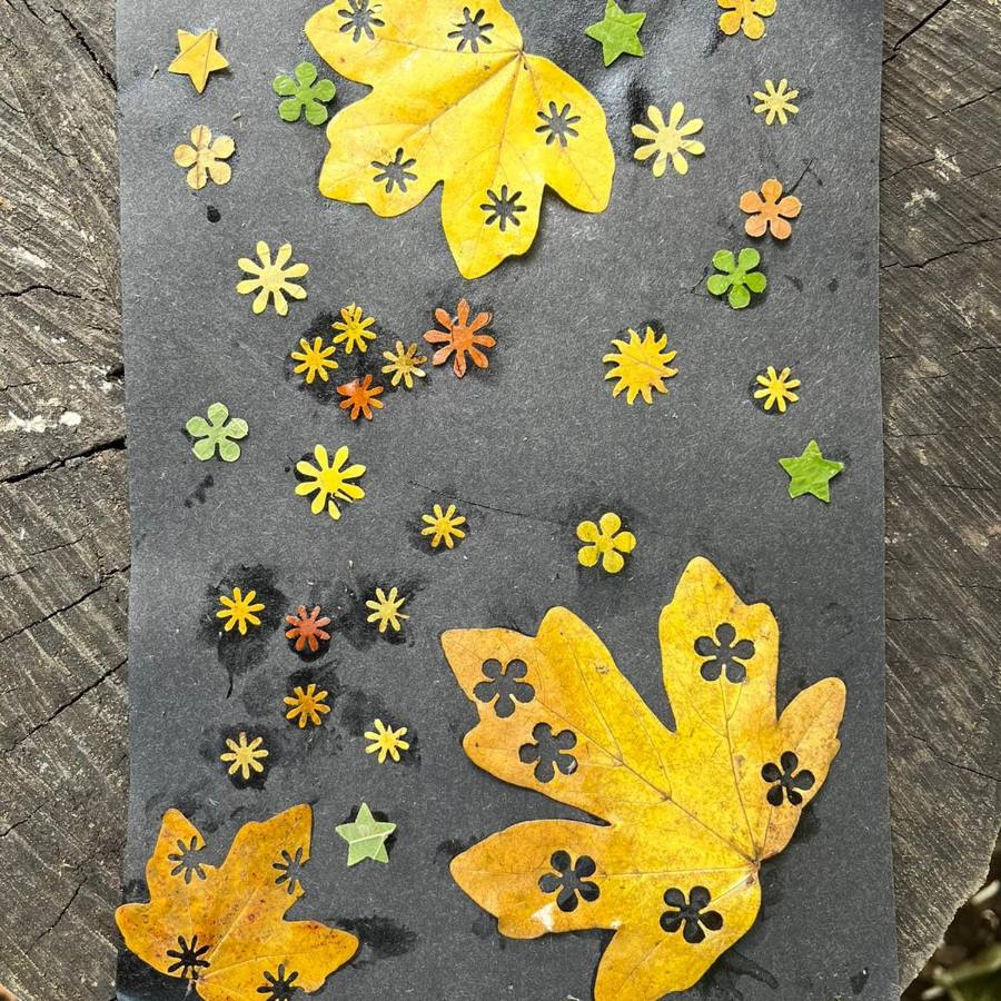 Leaf mandalas