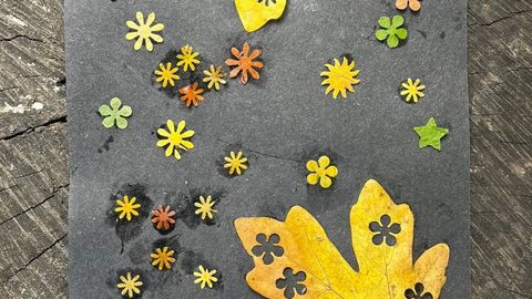 Leaf mandalas