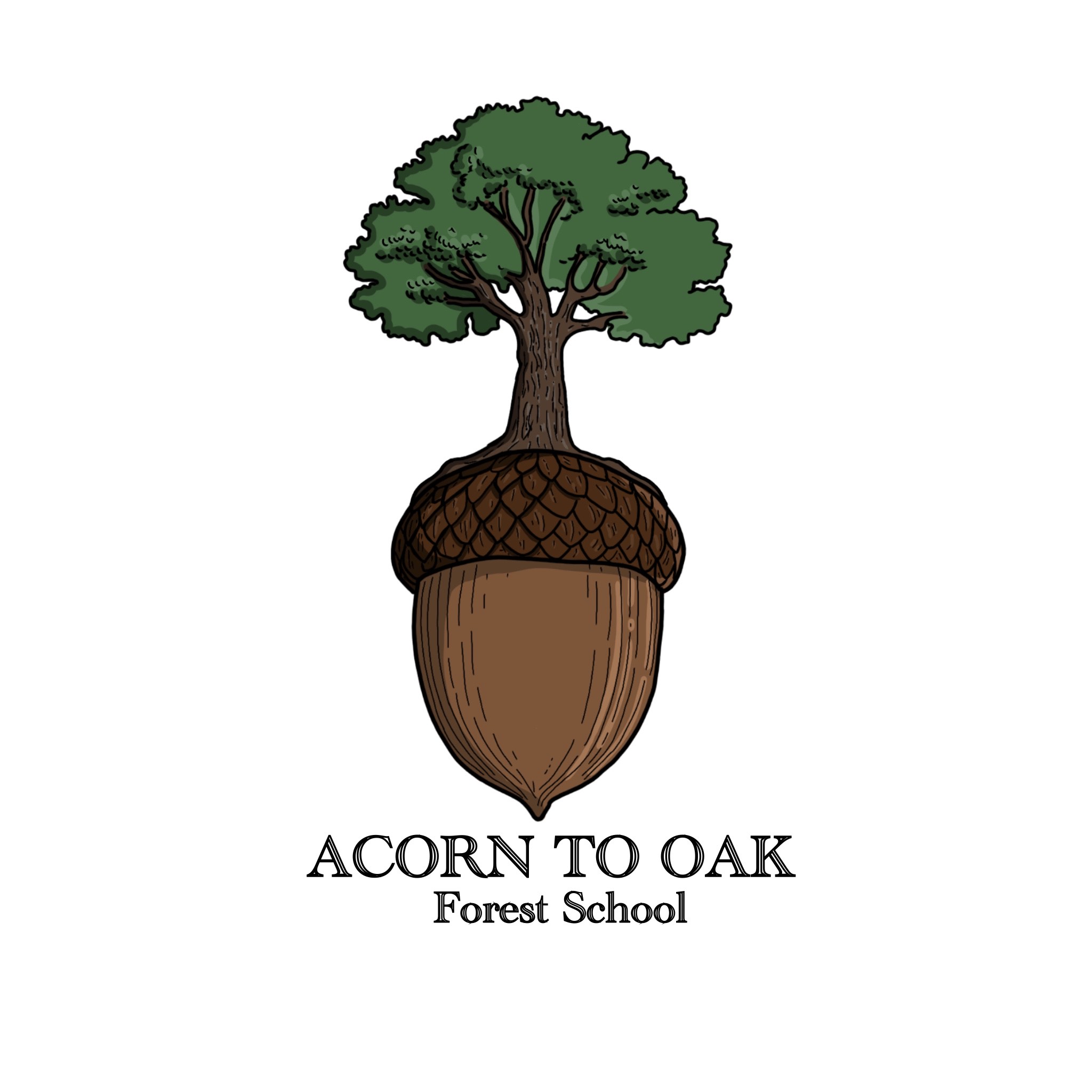 Acorn to Oak