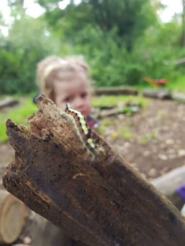 A caterpillar on a piece of bark, watched closely by a child